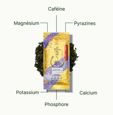 6ad63e3cd7f90_nio-teas-pan-fired-kamairicha-miyazaki-sabou-nutritional-benefits_a623a65f-b242-4785-8e1c-f09e57976b95_fr.webp