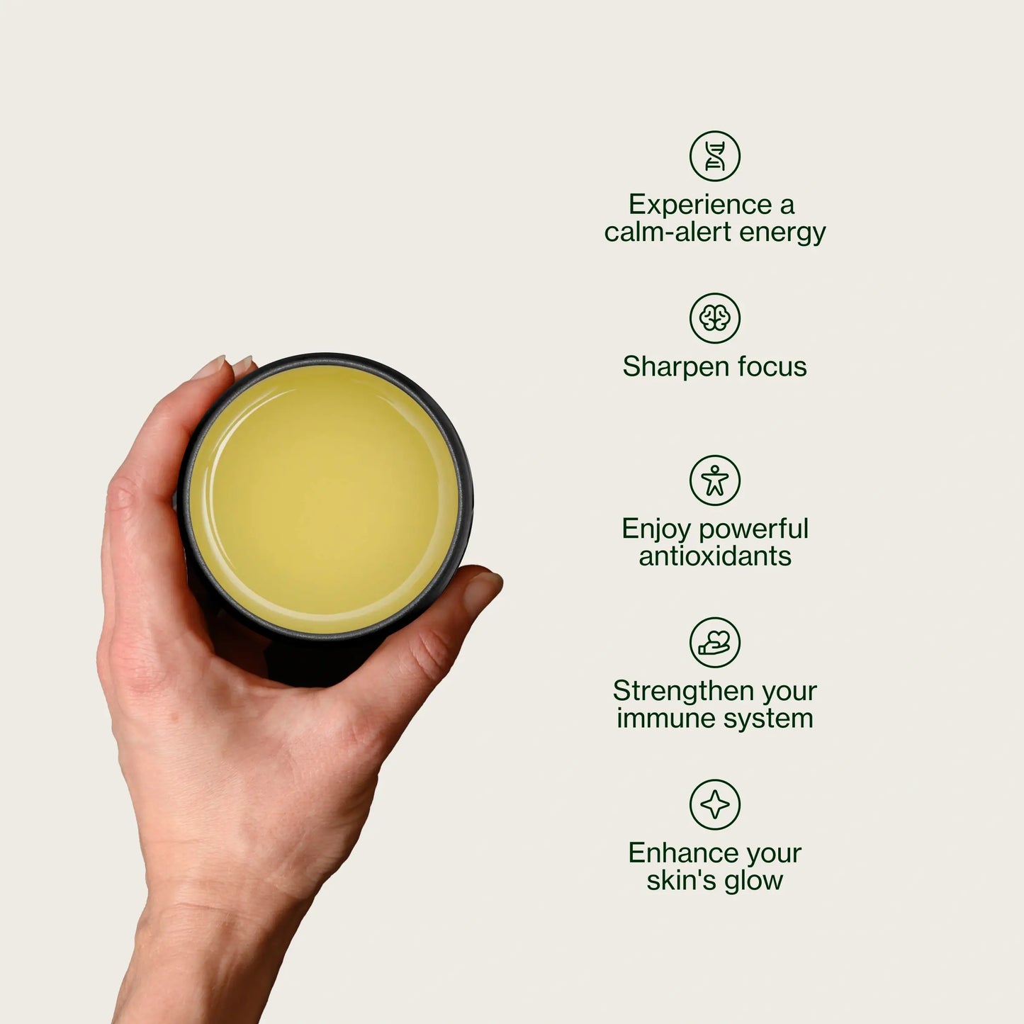 Sencha des Montagnes Chanoka