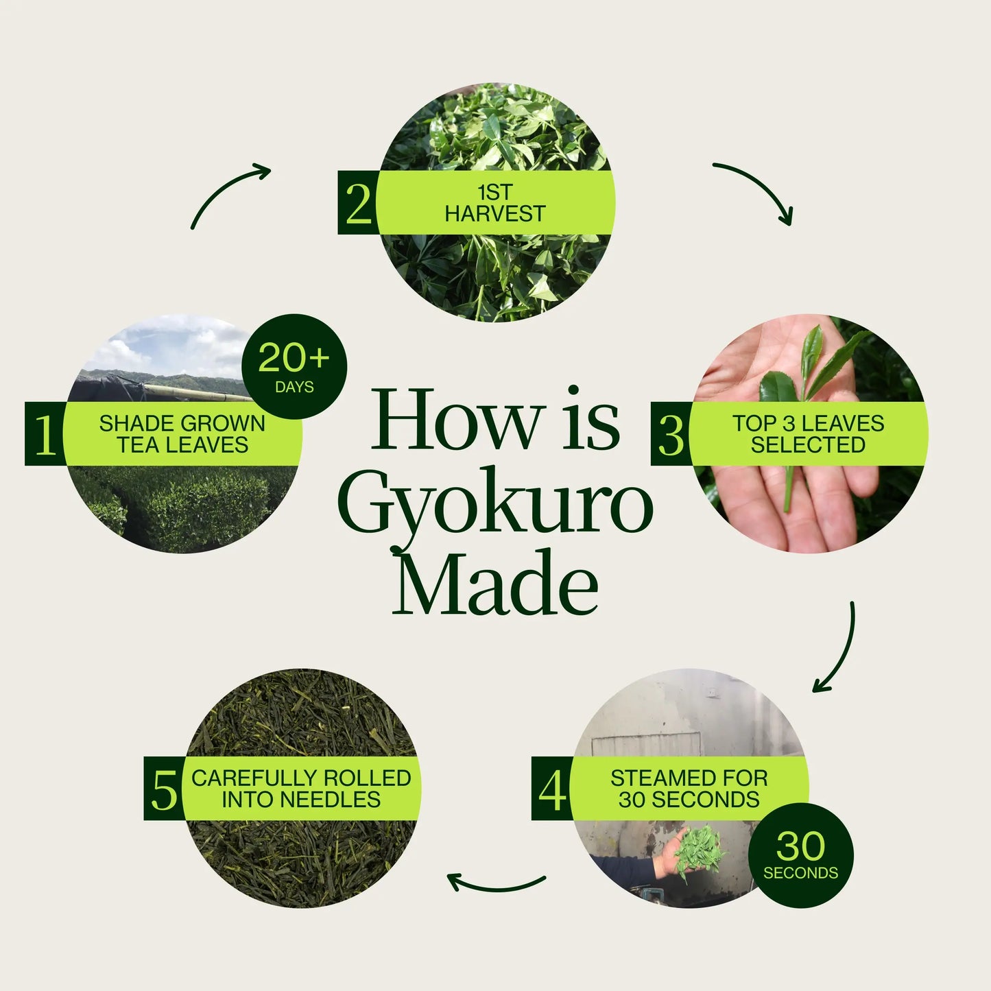 Thé Vert Gyokuro Cha Musume