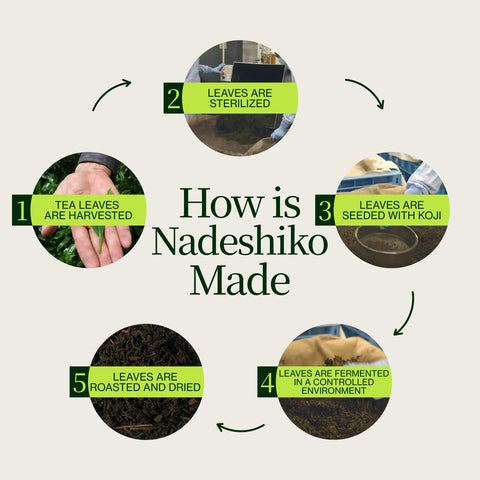 Thé fermenté japonais Nadeshiko Rose