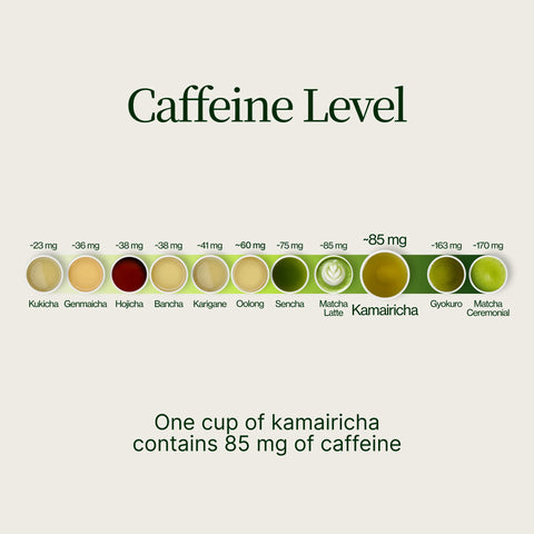 Kamairicha de combustion Miyazaki Sabou