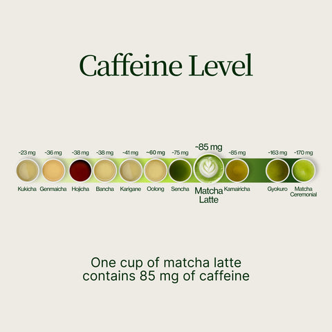Thé vert Matcha premium Chiran de qualité supérieure