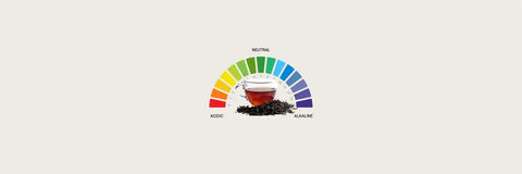 Black tea tea blog