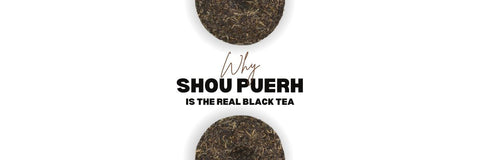 Fermented tea tea blog