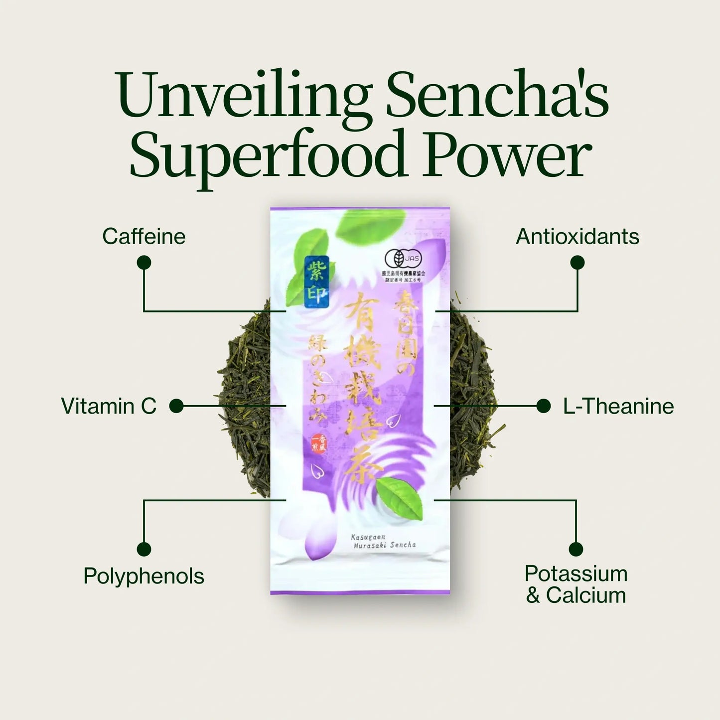 Fukamushi Sencha Murasaki