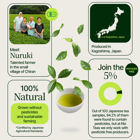 Thé vert Matcha premium Chiran de qualité supérieure