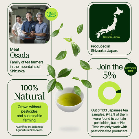 Thé Matcha japonais Osada Okumidori