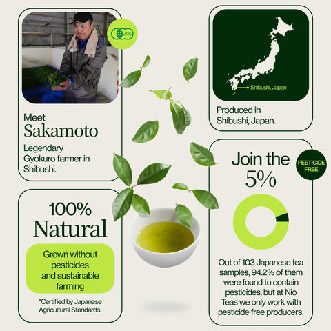Gyokuro Zen Sakamoto