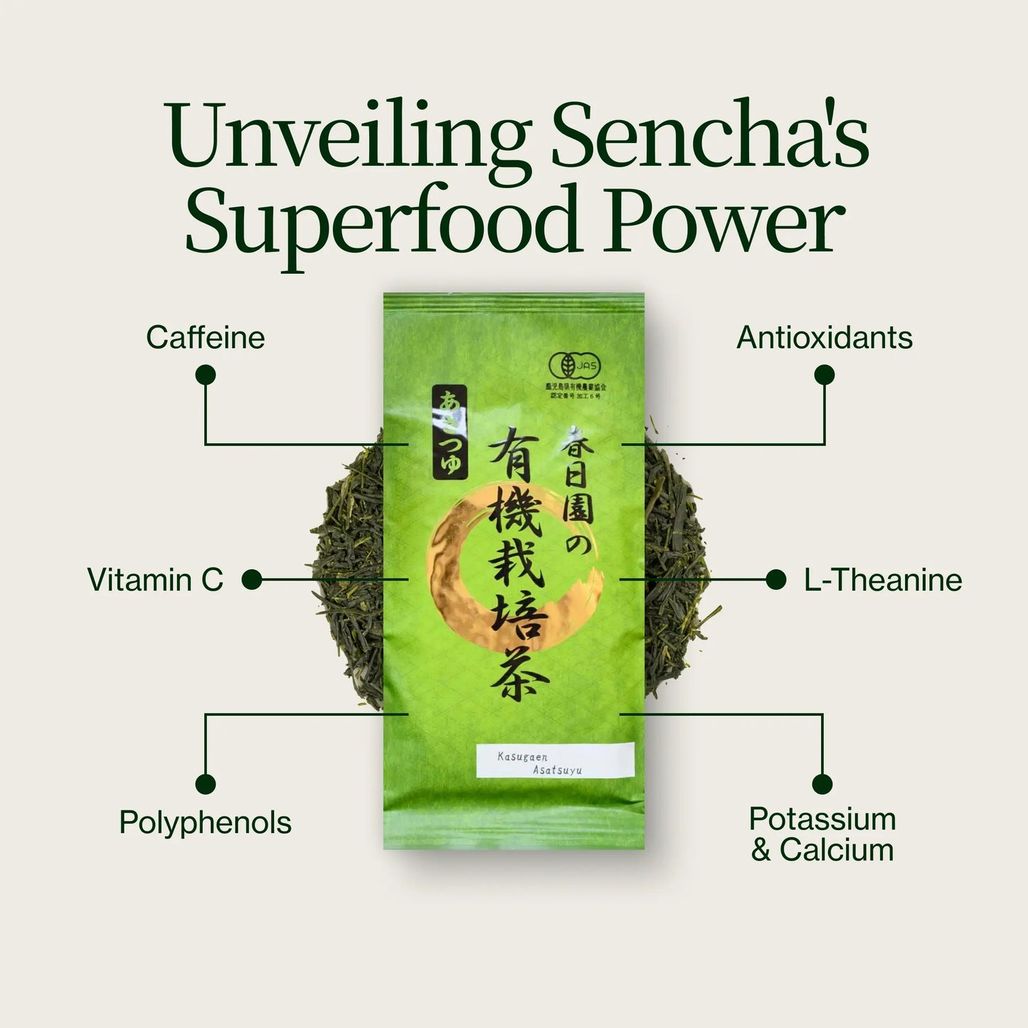 Sencha Kagoshima Kasugaen