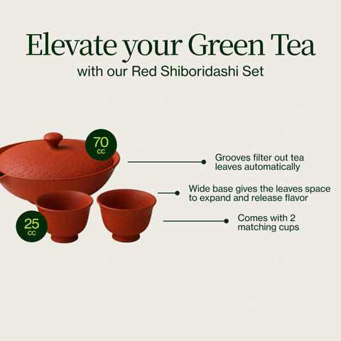 Ensemble Shiboridashi rouge
