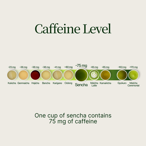 Thé vert Sencha Okumidori