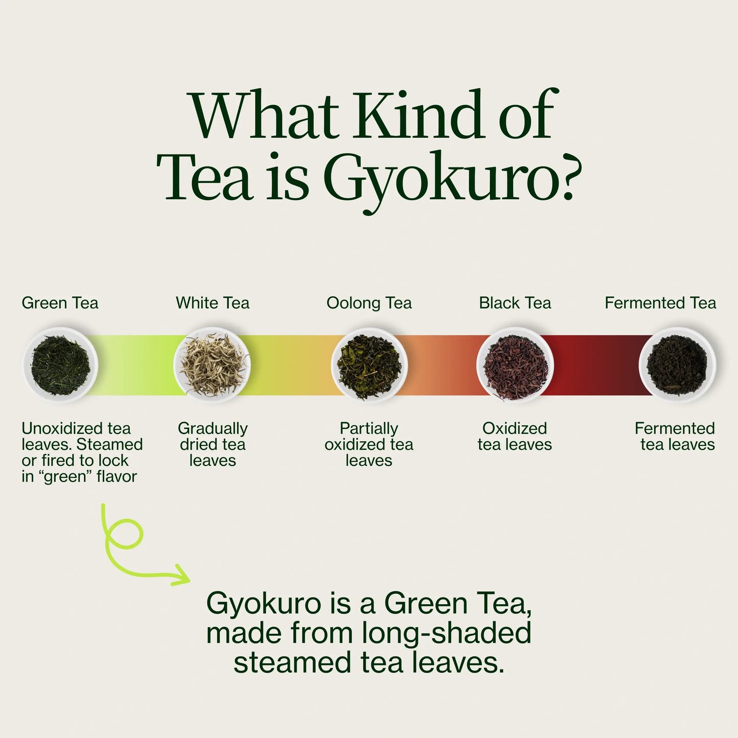 Thé Vert Gyokuro Cha Musume
