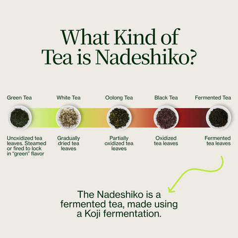 Thé fermenté japonais Nadeshiko Rose