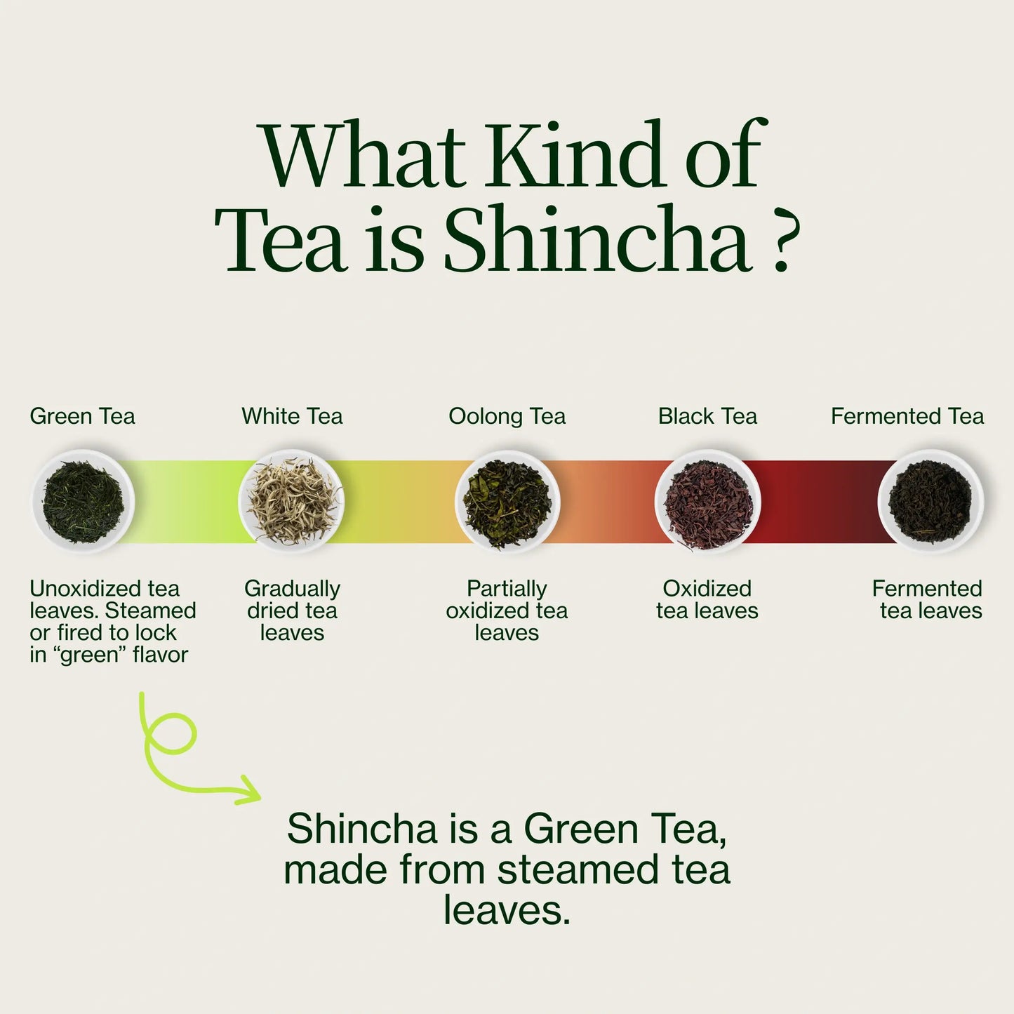 Tanegashima Saemidori Shincha