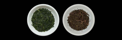 sencha vs hojicha