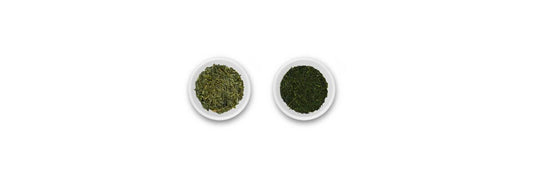 bancha vs sencha leafs
