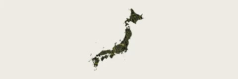 best gyokuro in the world