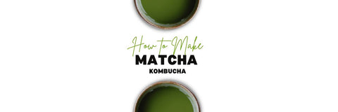 matcha kombucha