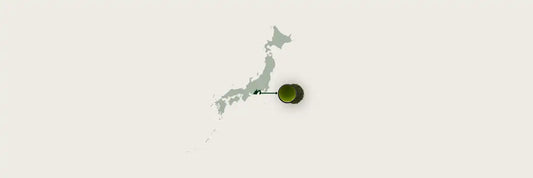 Shizuoka Gyokuro - How it Compares to Other Tea Regions
