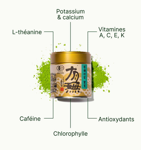 6ad63e17b5ecb_nio_teas_matcha_washimine_superfood_fr.webp
