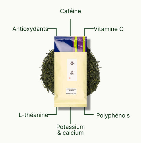 6ad63e2a22bfb_nio-teas-bancha-nutritional-benefits_e0cd6599-85ca-4692-919d-1720f8a2c6e1_fr.webp