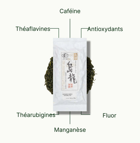6ad63e419d9ec_nio-teas-miyazaki-high-mountain-oolong-tea-nutritional-benefits_44321db2-d7d1-4da9-a0b3-9d985934f32b_fr.webp