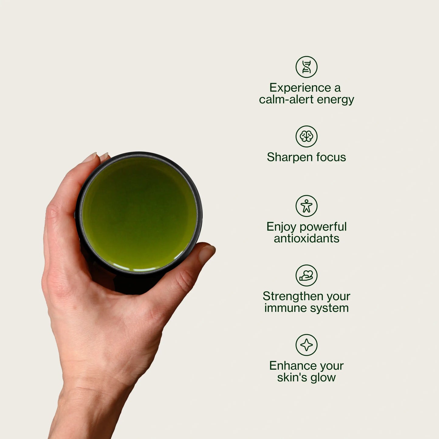 Sencha Kagoshima Kasugaen