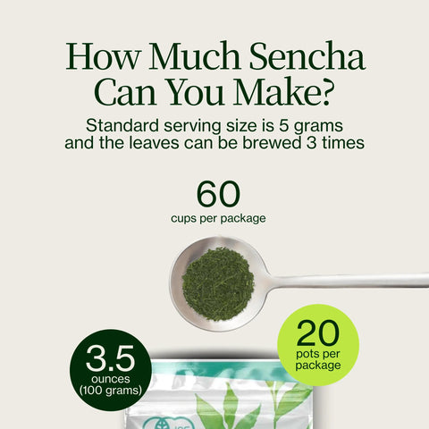 Sencha Shizuku avec Poudre de matcha