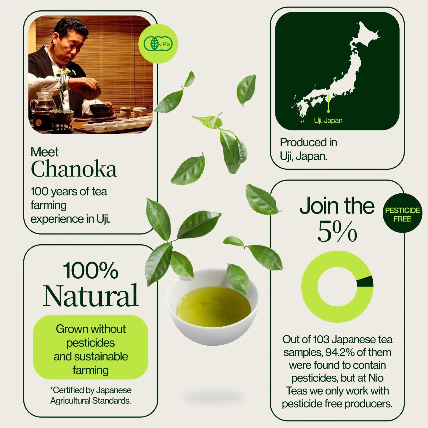 Uji Sencha Chanoka