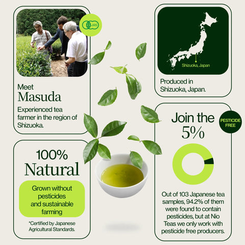 Thé vert Masudaen Makinohara