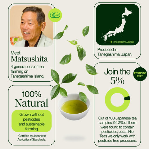 Shincha Tanegashima Kuritawase 2026