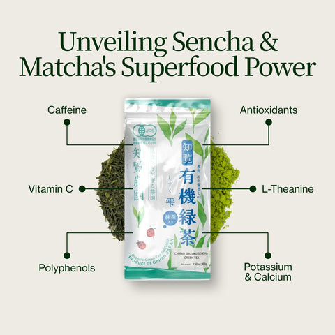 Sencha Shizuku avec Poudre de matcha