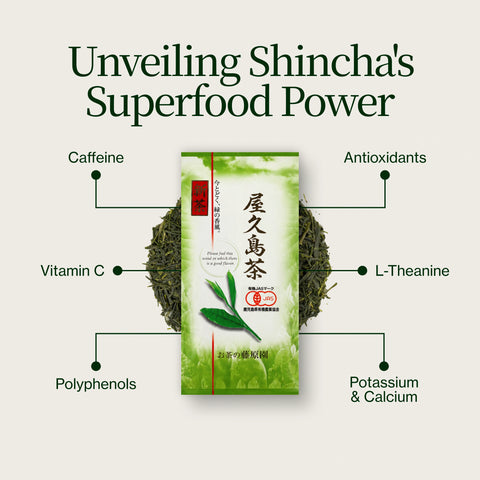 Yakushima Kuritawase Shincha 2026