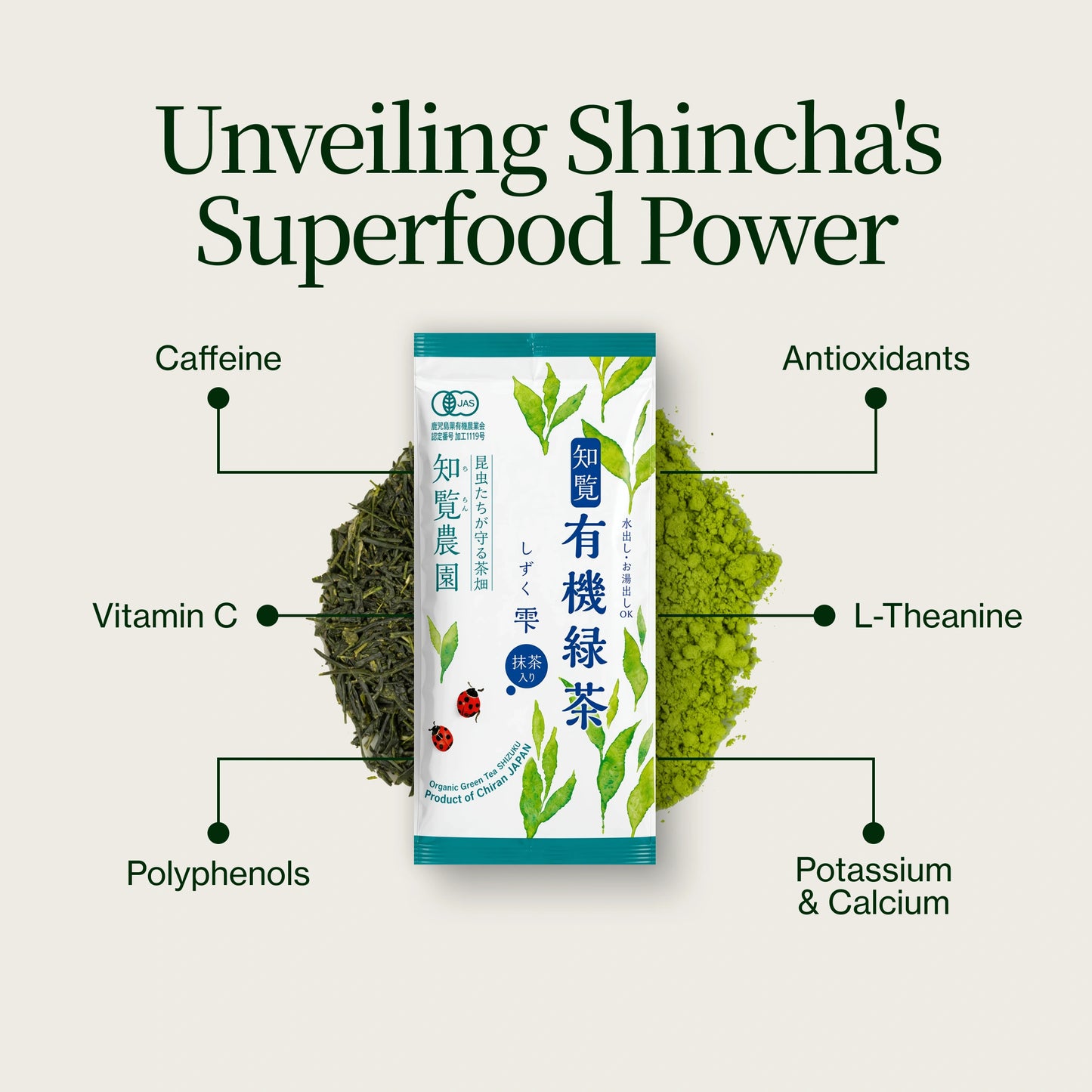 Shincha Shizuku Chiran 2026 with Matcha Powder