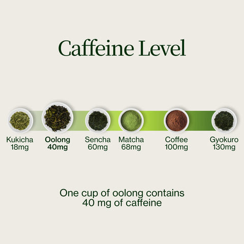 Thé Oolong des Hautes Montagnes Miyazaki