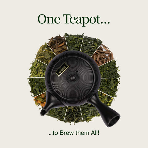 Théière Tokoname Kyusu Fukamushi