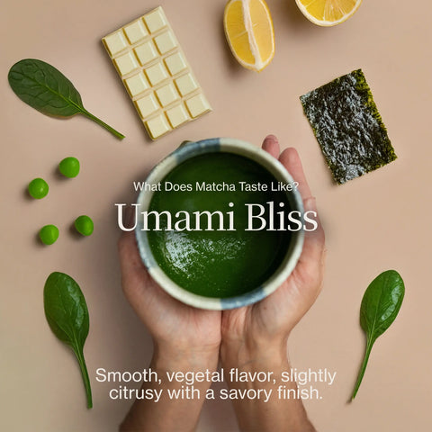 Oishi Ceremonial Matcha Saemidori