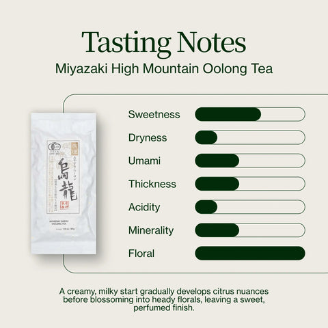 Thé Oolong des Hautes Montagnes Miyazaki