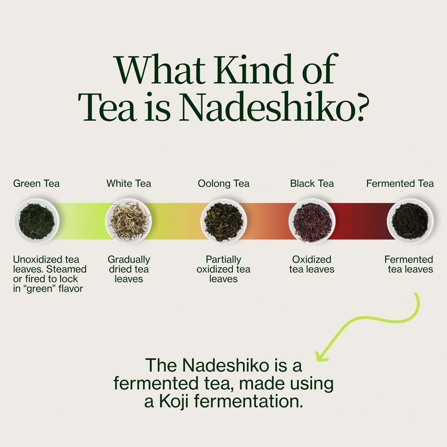 Nadeshiko Thé Vert Fermenté
