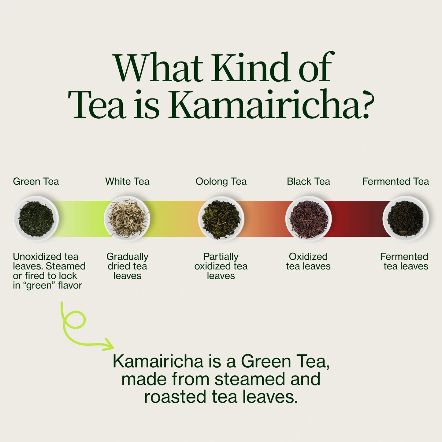 Thé vert en feuilles Chanoka Kamairicha